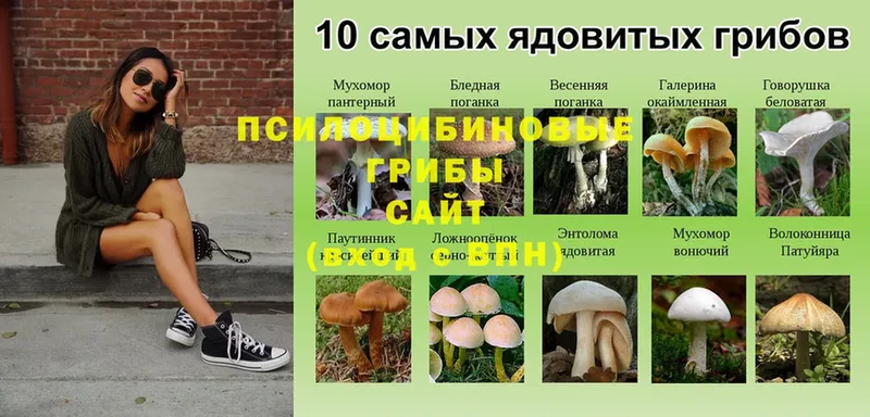 Псилоцибиновые грибы мухоморы  Сим 